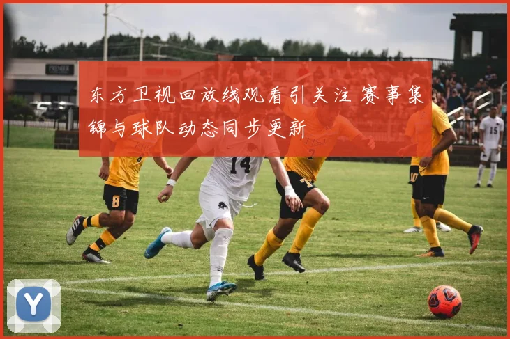东方卫视回放线观看引关注 赛事集锦与球队动态同步更新