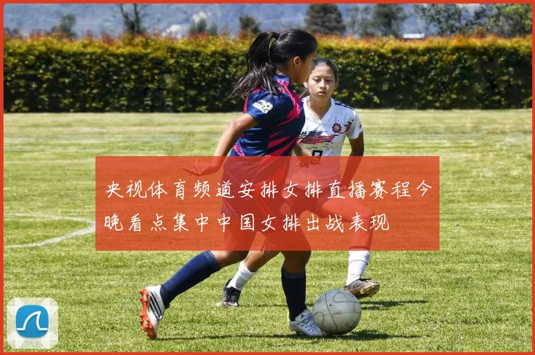 央视体育频道安排女排直播赛程今晚看点集中中国女排出战表现