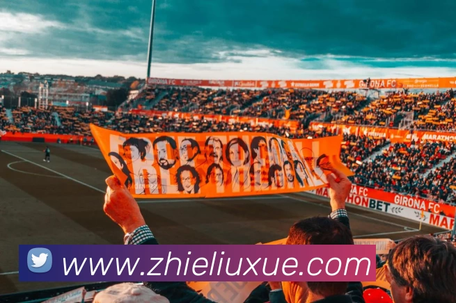 九游网站入口发展历程